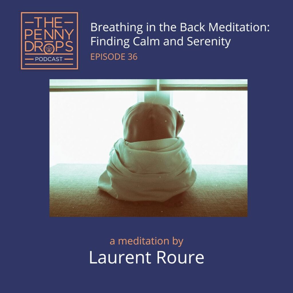 meditation in the back by Laurent Roure